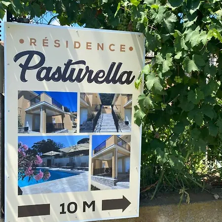 Pasturella *