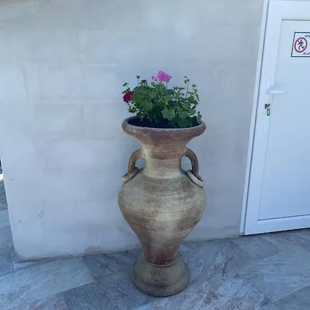 Pasturella * Bastia (Corsica)