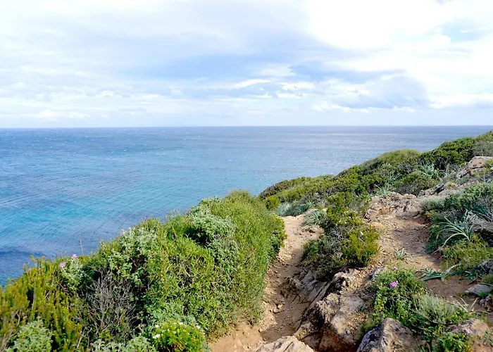 Pasturella Appartement