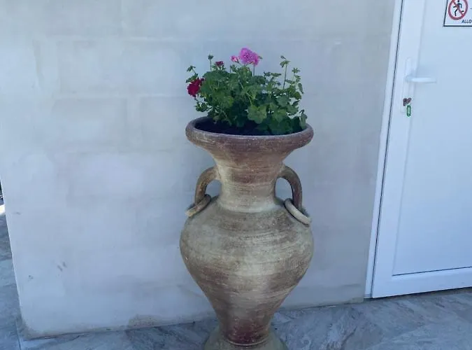 Pasturella * Bastia (Corsica)